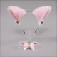 Pink Faux Fur Cat Ears Headband and Lace Choker