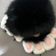 Cute Black & White Faux Fur Paw Hair Claw Clip