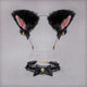 Black Faux Fur Cat Ears Headband & Lace Choker Set